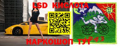 прущие грибы Камышлов