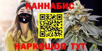 прущие грибы Камышлов
