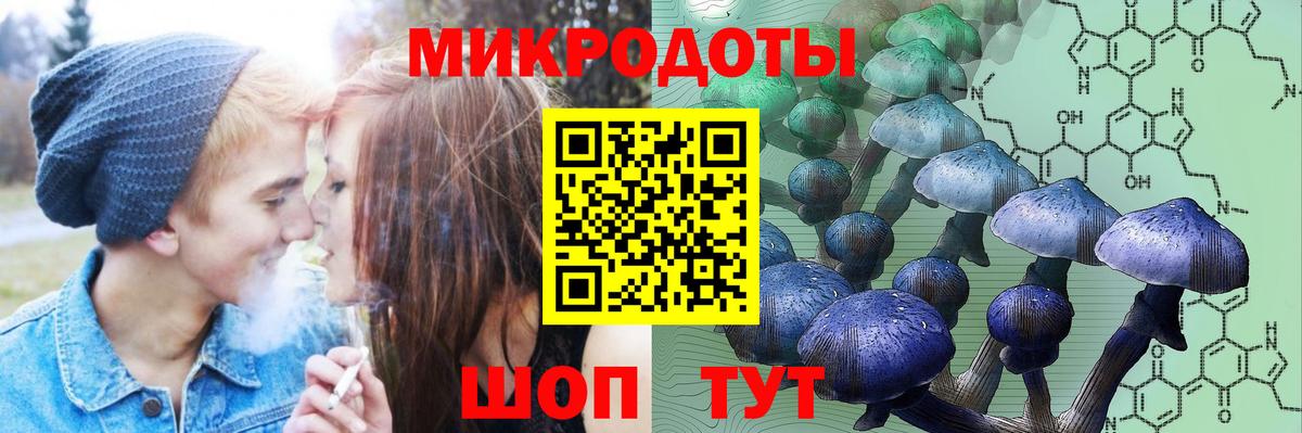 Псилоцибиновые грибы мухоморы Лесозаводск